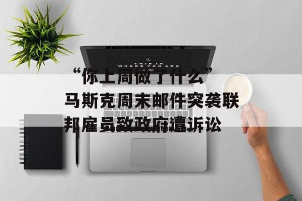 “你上周做了什么” 马斯克周末邮件突袭联邦雇员致政府遭诉讼 “你上周做了什么” 马斯克周末邮件突袭联邦雇员致政府遭诉讼