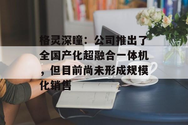 格灵深瞳：公司推出了全国产化超融合一体机，但目前尚未形成规模化销售
