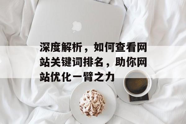 深度解析,如何查看网站关键词排名,助你网站优化一臂之力 深度解析,如何查看网站关键词排名,助你网站优化一臂之力