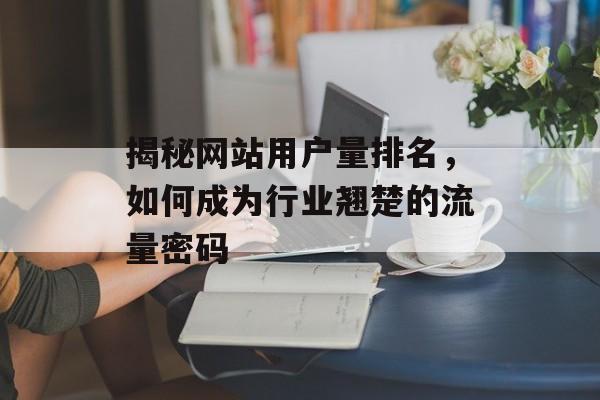 揭秘网站用户量排名,如何成为行业翘楚的流量密码 揭秘网站用户量排名,如何成为行业翘楚的流量密码