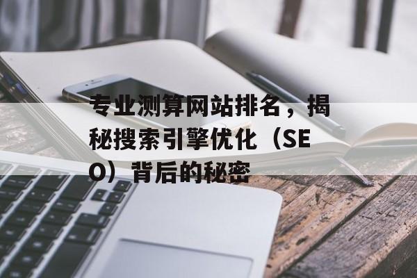 专业测算网站排名，揭秘搜索引擎优化（SEO）背后的秘密