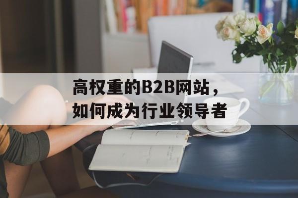 高权重的B2B网站,如何成为行业领导者 高权重的B2B网站,如何成为行业领导者