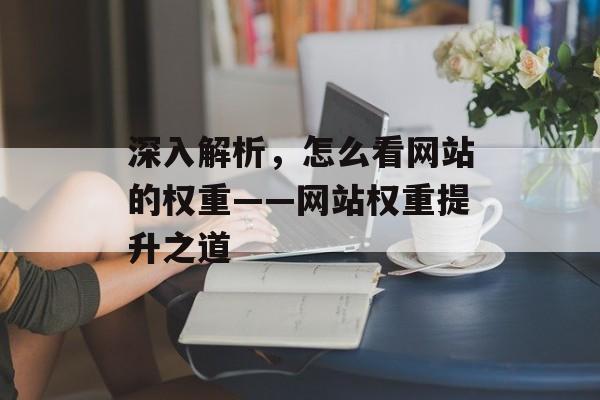 深入解析,怎么看网站的权重——网站权重提升之道 深入解析,怎么看网站的权重——网站权重提升之道