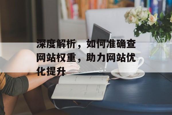 深度解析，如何准确查网站权重，助力网站优化提升