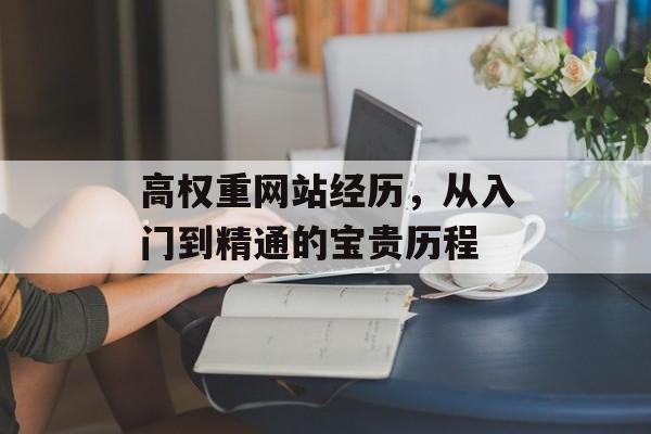 高权重网站经历,从入门到精通的宝贵历程 高权重网站经历,从入门到精通的宝贵历程