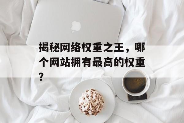 揭秘网络权重之王,哪个网站拥有最高的权重? 揭秘网络权重之王,哪个网站拥有最高的权重?