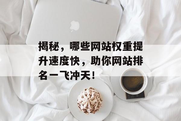 揭秘，哪些网站权重提升速度快，助你网站排名一飞冲天！