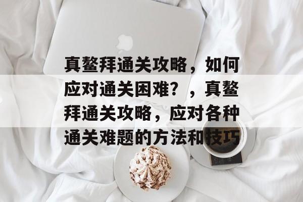真鳌拜通关攻略，如何应对通关困难？，真鳌拜通关攻略，应对各种通关难题的方法和技巧