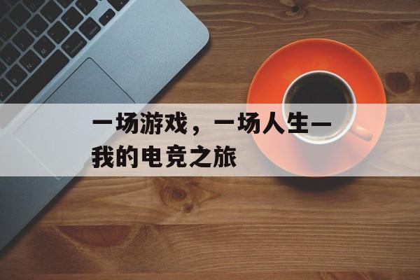 一场游戏,一场人生—我的电竞之旅 一场游戏,一场人生—我的电竞之旅