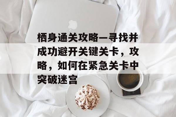 栖身通关攻略—寻找并成功避开关键关卡,攻略,如何在紧急关卡中突破迷宫 栖身通关攻略—寻找并成功避开关键关卡,攻略,如何在紧急关卡中突破迷宫