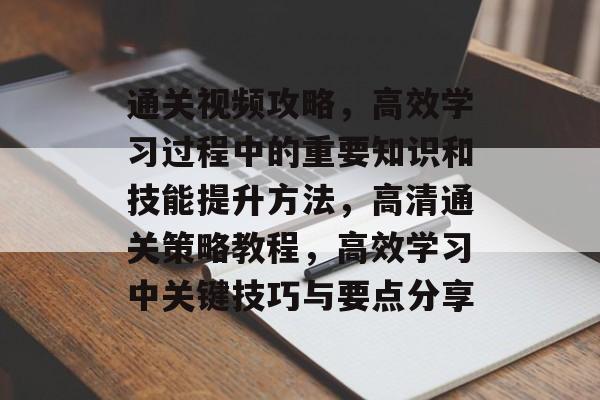 通关视频攻略,高效学习过程中的重要知识和技能提升方法,高清通关策略教程,高效学习中关键技巧与要点分享 通关视频攻略,高效学习过程中的重要知识和技能提升方法,高清通关策略教程,高效学习中关键技巧与要点分享