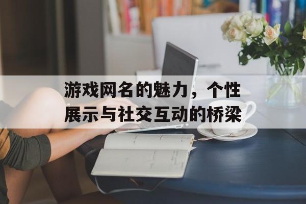 游戏网名的魅力,个性展示与社交互动的桥梁 游戏网名的魅力,个性展示与社交互动的桥梁