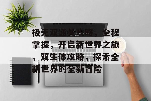 极无双通关攻略,全程掌握,开启新世界之旅,双生体攻略,探索全新世界的全新冒险 极无双通关攻略,全程掌握,开启新世界之旅,双生体攻略,探索全新世界的全新冒险