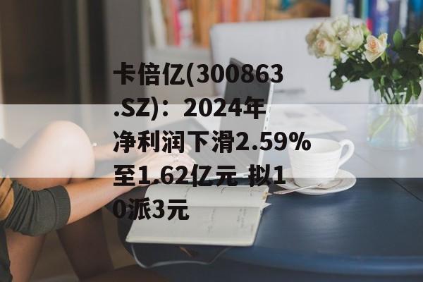 卡倍亿(300863.SZ):2024年净利润下滑2.59%至1.62亿元 拟10派3元 卡倍亿(300863.SZ):2024年净利润下滑2.59%至1.62亿元 拟10派3元