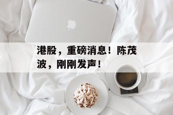港股,重磅消息!陈茂波,刚刚发声! 港股,重磅消息!陈茂波,刚刚发声!