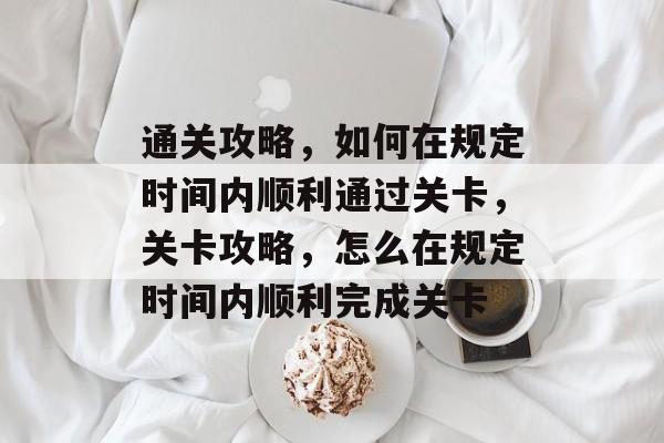 通关攻略，如何在规定时间内顺利通过关卡，关卡攻略，怎么在规定时间内顺利完成关卡