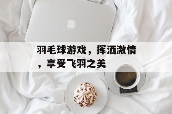 羽毛球游戏,挥洒激情,享受飞羽之美 羽毛球游戏,挥洒激情,享受飞羽之美
