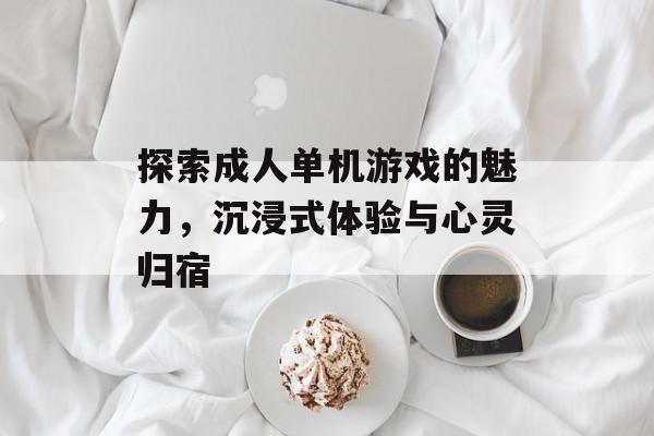 探索成人单机游戏的魅力,沉浸式体验与心灵归宿 探索成人单机游戏的魅力,沉浸式体验与心灵归宿