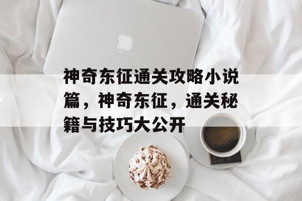 神奇东征通关攻略小说篇，神奇东征，通关秘籍与技巧大公开