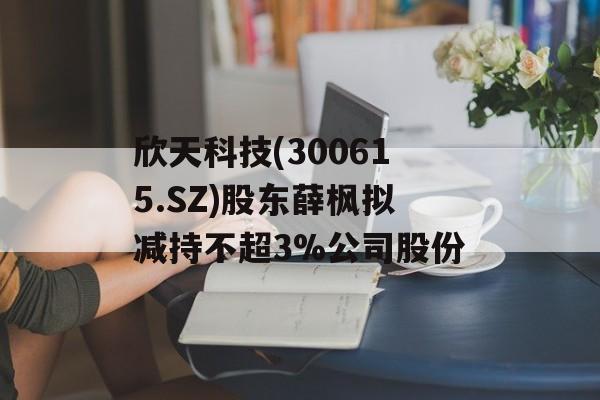 欣天科技(300615.SZ)股东薛枫拟减持不超3%公司股份 欣天科技(300615.SZ)股东薛枫拟减持不超3%公司股份