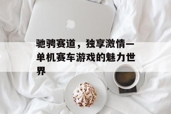驰骋赛道,独享激情—单机赛车游戏的魅力世界 驰骋赛道,独享激情—单机赛车游戏的魅力世界