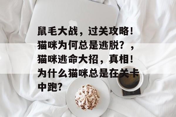 鼠毛大战，过关攻略！猫咪为何总是逃脱？，猫咪逃命大招，真相！为什么猫咪总是在关卡中跑?