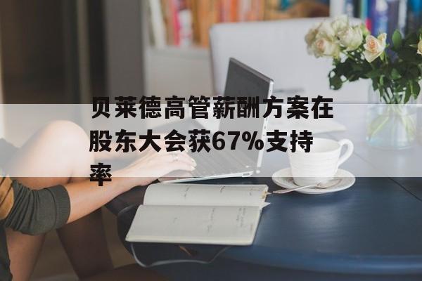 贝莱德高管薪酬方案在股东大会获67%支持率 贝莱德高管薪酬方案在股东大会获67%支持率