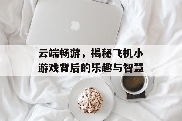 云端畅游，揭秘飞机小游戏背后的乐趣与智慧