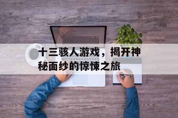 十三骇人游戏,揭开神秘面纱的惊悚之旅 十三骇人游戏,揭开神秘面纱的惊悚之旅