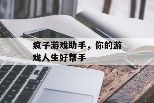 疯子游戏助手，你的游戏人生好帮手