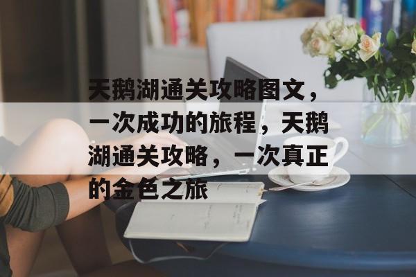 天鹅湖通关攻略图文，一次成功的旅程，天鹅湖通关攻略，一次真正的金色之旅