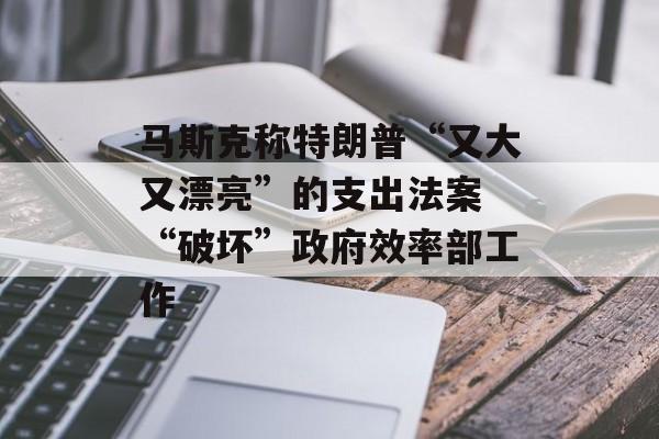 马斯克称特朗普“又大又漂亮”的支出法案 “破坏”政府效率部工作 马斯克称特朗普“又大又漂亮”的支出法案 “破坏”政府效率部工作