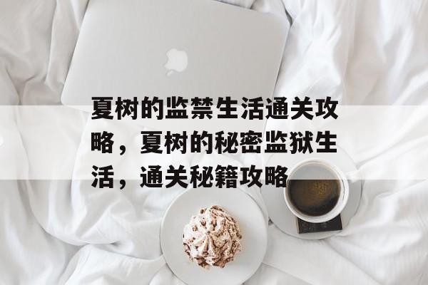 夏树的监禁生活通关攻略,夏树的秘密监狱生活,通关秘籍攻略 夏树的监禁生活通关攻略,夏树的秘密监狱生活,通关秘籍攻略