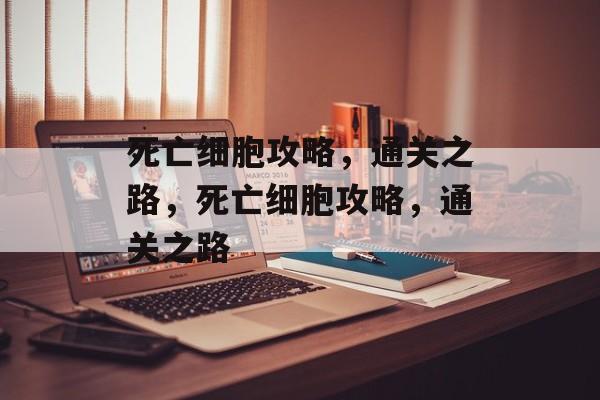 死亡细胞攻略,通关之路,死亡细胞攻略,通关之路 死亡细胞攻略,通关之路,死亡细胞攻略,通关之路