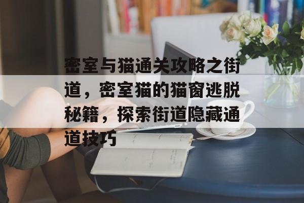 密室与猫通关攻略之街道,密室猫的猫窗逃脱秘籍,探索街道隐藏通道技巧 密室与猫通关攻略之街道,密室猫的猫窗逃脱秘籍,探索街道隐藏通道技巧