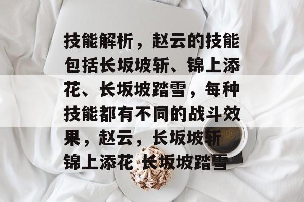 技能解析,赵云的技能包括长坂坡斩、锦上添花、长坂坡踏雪,每种技能都有不同的战斗效果,赵云,长坂坡斩 锦上添花 长坂坡踏雪 技能解析,赵云的技能包括长坂坡斩、锦上添花、长坂坡踏雪,每种技能都有不同的战斗效果,赵云,长坂坡斩 锦上添花 长坂坡踏雪