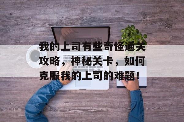我的上司有些奇怪通关攻略,神秘关卡,如何克服我的上司的难题! 我的上司有些奇怪通关攻略,神秘关卡,如何克服我的上司的难题!