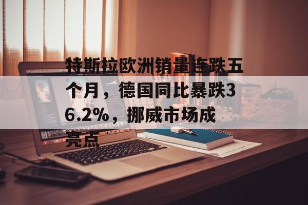 特斯拉欧洲销量连跌五个月,德国同比暴跌36.2%,挪威市场成亮点 特斯拉欧洲销量连跌五个月,德国同比暴跌36.2%,挪威市场成亮点