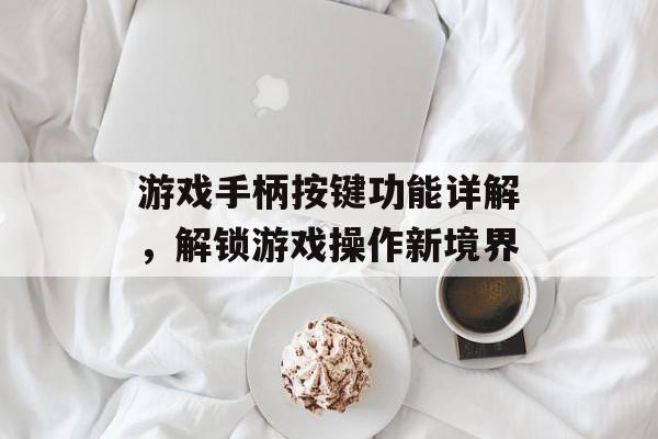 游戏手柄按键功能详解,解锁游戏操作新境界 游戏手柄按键功能详解,解锁游戏操作新境界