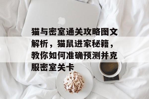 猫与密室通关攻略图文解析,猫鼠进家秘籍,教你如何准确预测并克服密室关卡 猫与密室通关攻略图文解析,猫鼠进家秘籍,教你如何准确预测并克服密室关卡