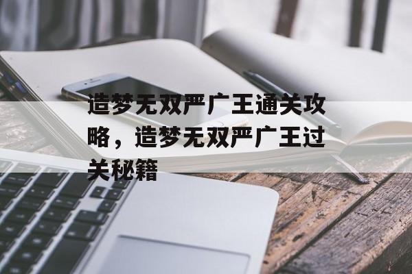 造梦无双严广王通关攻略，造梦无双严广王过关秘籍