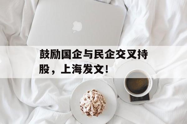 鼓励国企与民企交叉持股，上海发文！