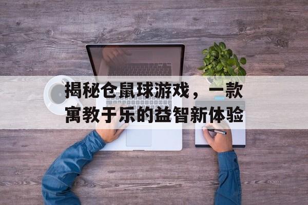 揭秘仓鼠球游戏,一款寓教于乐的益智新体验 揭秘仓鼠球游戏,一款寓教于乐的益智新体验
