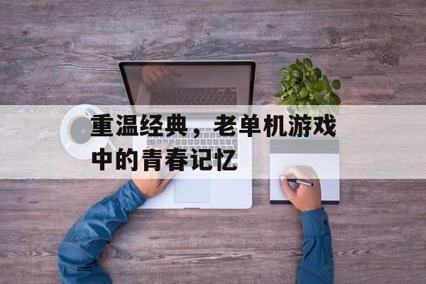 重温经典,老单机游戏中的青春记忆 重温经典,老单机游戏中的青春记忆