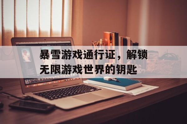 暴雪游戏通行证，解锁无限游戏世界的钥匙