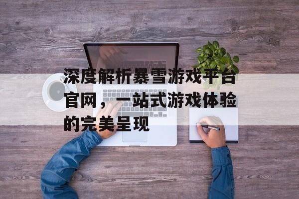深度解析暴雪游戏平台官网，一站式游戏体验的完美呈现