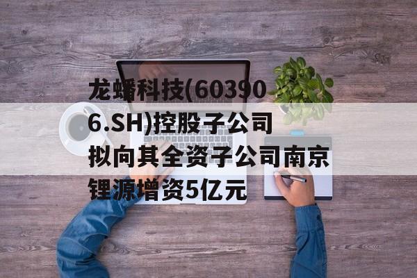 龙蟠科技(603906.SH)控股子公司拟向其全资子公司南京锂源增资5亿元 龙蟠科技(603906.SH)控股子公司拟向其全资子公司南京锂源增资5亿元