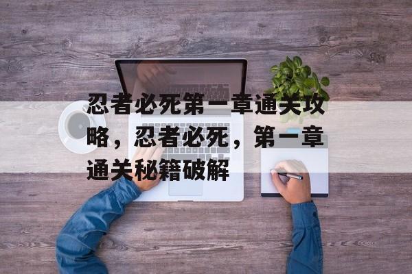忍者必死第一章通关攻略，忍者必死，第一章通关秘籍破解