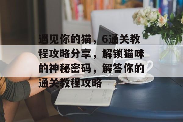 遇见你的猫,6通关教程攻略分享,解锁猫咪的神秘密码,解答你的通关教程攻略 遇见你的猫,6通关教程攻略分享,解锁猫咪的神秘密码,解答你的通关教程攻略