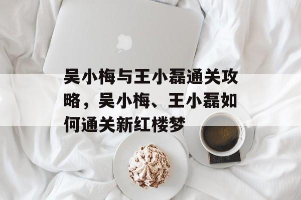 吴小梅与王小磊通关攻略,吴小梅、王小磊如何通关新红楼梦 吴小梅与王小磊通关攻略,吴小梅、王小磊如何通关新红楼梦